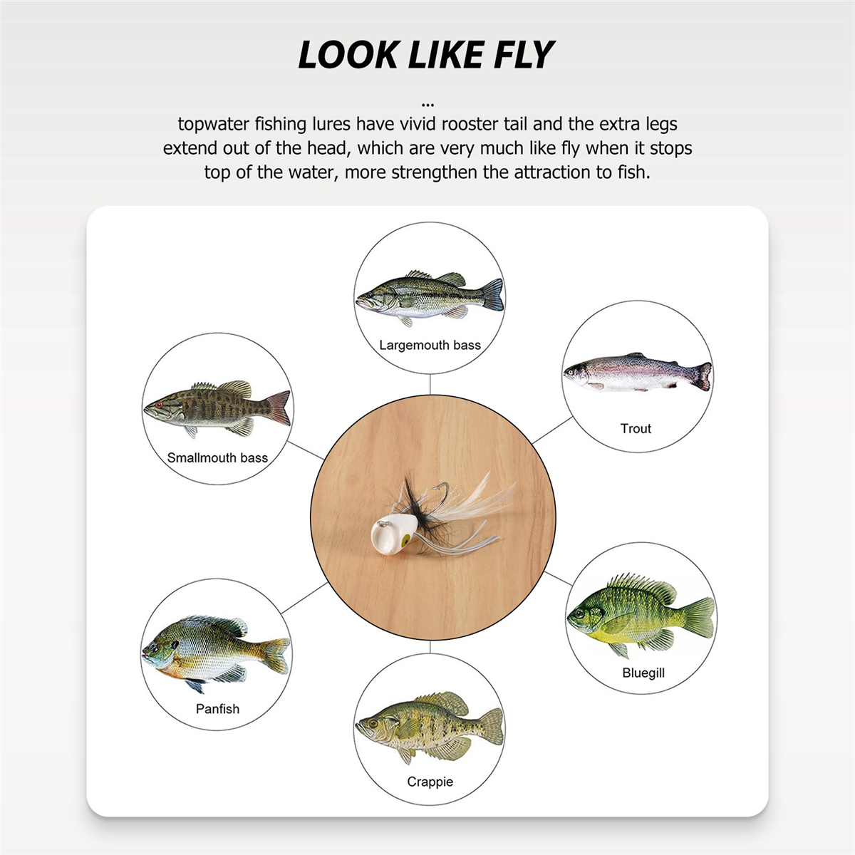 10PCS Fly Fishing Poppers,Topw - Fishing Lure Topwater recensione e prezzo